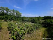 Teren intravilan 4,516mp Doina 