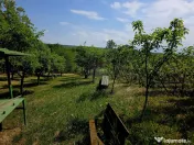 Teren intravilan 4,516mp Doina 