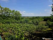 Teren intravilan 4,516mp Doina 
