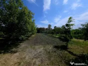 Teren intravilan 4,516mp Doina 