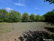 Teren intravilan 4,516mp Doina 