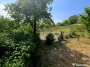 Teren intravilan 4,516mp Doina 