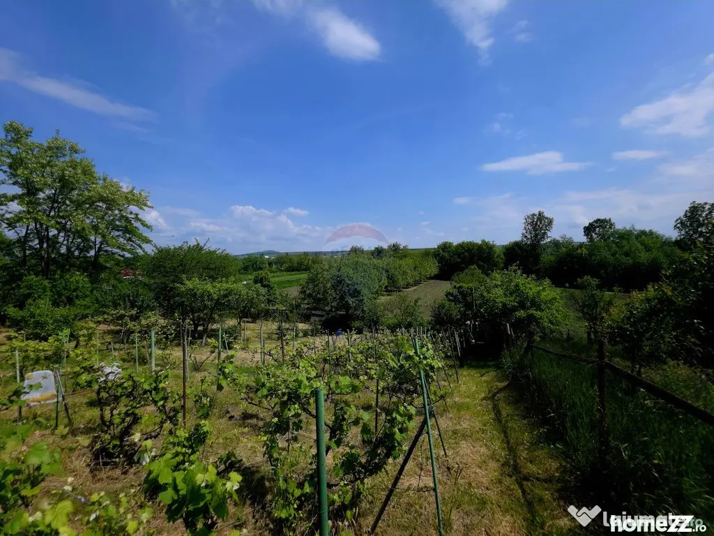 Teren intravilan 4,516mp Doina