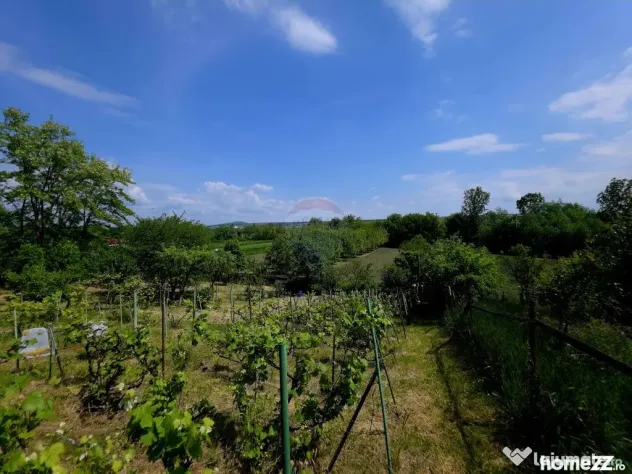 Teren intravilan 4,516mp Doina