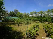 Teren intravilan 4,516mp Doina