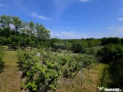 Teren intravilan 4,516mp Doina