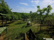 Teren intravilan 4,516mp Doina