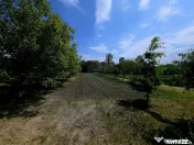 Teren intravilan 4,516mp Doina