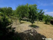 Teren intravilan 4,516mp Doina