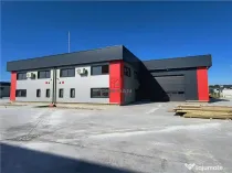 Depozit/hala/spatiu industrial Domnesti - Centura