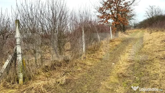Teren extravilan de vanzare, Valea Budavului