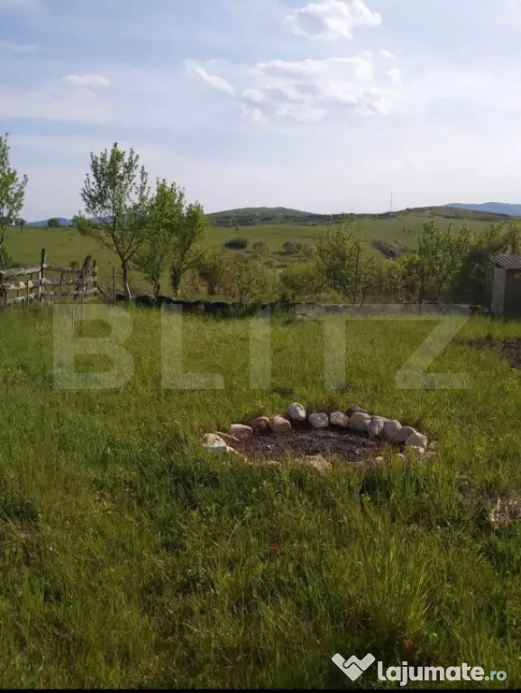 Teren extravilan de vanzare, Valea Budavului