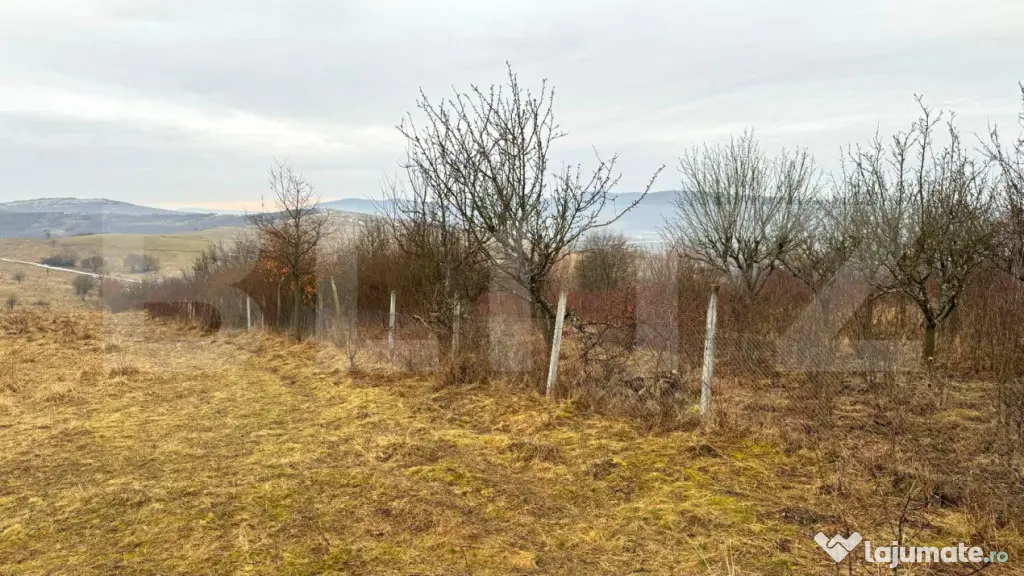 Teren extravilan de vanzare, Valea Budavului
