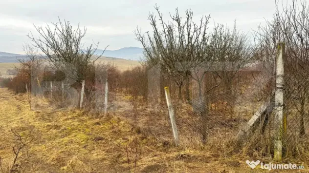 Teren extravilan de vanzare, Valea Budavului