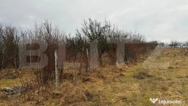 Teren extravilan de vanzare, Valea Budavului
