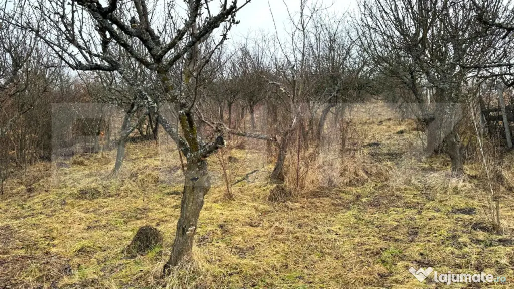 Teren extravilan de vanzare, Valea Budavului