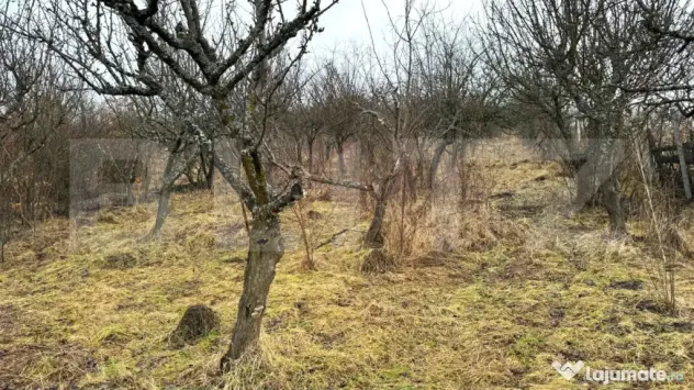 Teren extravilan de vanzare, Valea Budavului