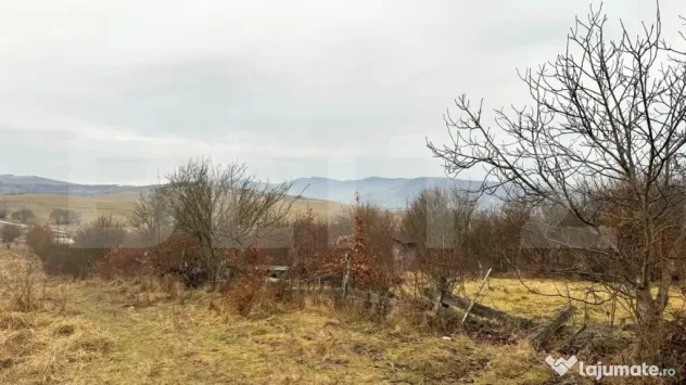 Teren extravilan de vanzare, Valea Budavului