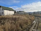 Teren 1.250 mp, toate utilitatile – Bascov, Valea Ursului, 