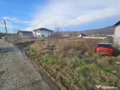 Teren 1.250 mp, toate utilitatile – Bascov, Valea Ursului, 