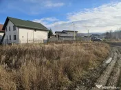 Teren 1.250 mp, toate utilitatile – Bascov, Valea Ursului, 
