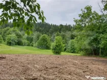 Teren intravilan 923 mp, Bucium catre Detunata