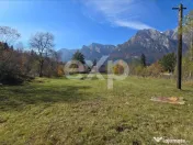 Teren intravilan în Bușteni, cu vedere spectaculoasă spre 