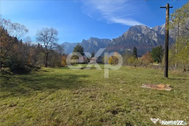 Teren intravilan în Bușteni, cu vedere spectaculoasă spre