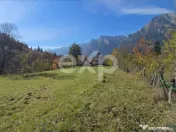 Teren intravilan în Bușteni, cu vedere spectaculoasă spre 