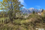 Teren intravilan în Bușteni, cu vedere spectaculoasă spre