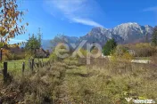 Teren intravilan în Bușteni, cu vedere spectaculoasă spre