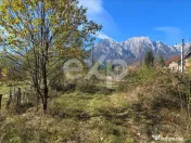 Teren intravilan în Bușteni, cu vedere spectaculoasă spre 