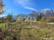 Teren intravilan în Bușteni, cu vedere spectaculoasă spre 
