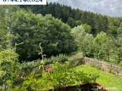 Casă, Bistrița, 1000 mp teren. Preț 590 eur/ lună 