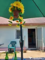 Casa de vanzare, 64.30 mp, Lacrita Mare - 18 km de Craiova