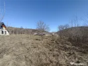 Oravita, Teren Intravilan, 3,8 Euro MP, In Oras, Usor Negoc 