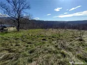 Oravita, Teren Intravilan, 3,8 Euro MP, In Oras, Usor Negoc 