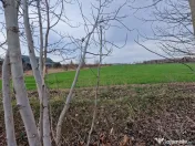 Ciolpani Izvorani 3600 mp desch 32 mp utilitati la 30m zo... 