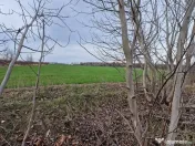 Ciolpani Izvorani 3600 mp desch 32 mp utilitati la 30m zo... 