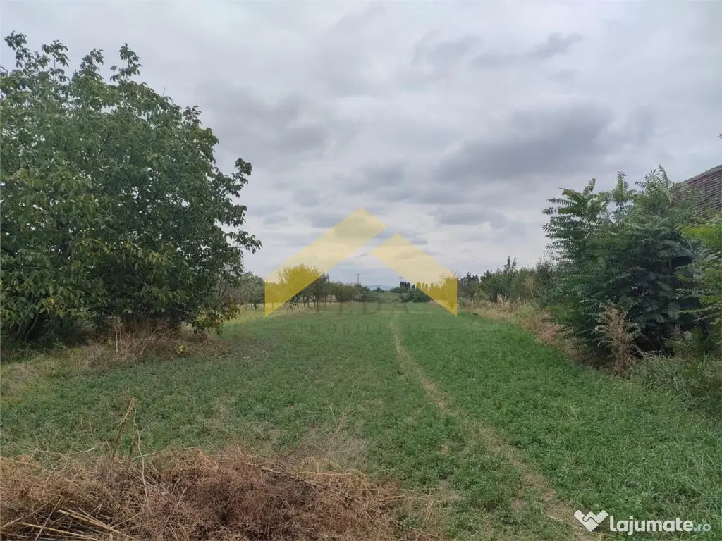 Casa cu teren de Santana