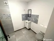 Ciclova, Casa cu Spatiu Comercial la Sosea, ZERO COMISION 