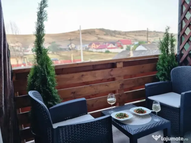 Cabana 15 persoane | 7 camere | 6 băi | Living pentru petreceri | Terase Grătar