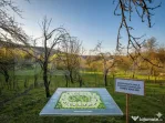 Teren intravilan, 9066 mp, zona Aninoasa