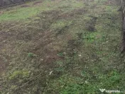 Teren Cornetu Zona str Aeroportului 