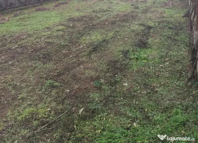 Teren Cornetu Zona str Aeroportului