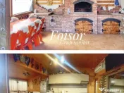 Casa Vanatori ,mobilata, utilata teren 500 mp 