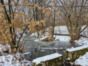 Moșia boierească din vârf de deal, Scorțeni - Prahova, c 