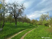 Moșia boierească din vârf de deal, Scorțeni - Prahova, c