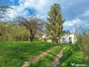 Moșia boierească din vârf de deal, Scorțeni - Prahova, c 