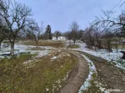 Moșia boierească din vârf de deal, Scorțeni - Prahova, c 